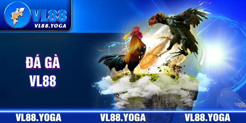 Những thông tin khái quát về Đá gà VL88